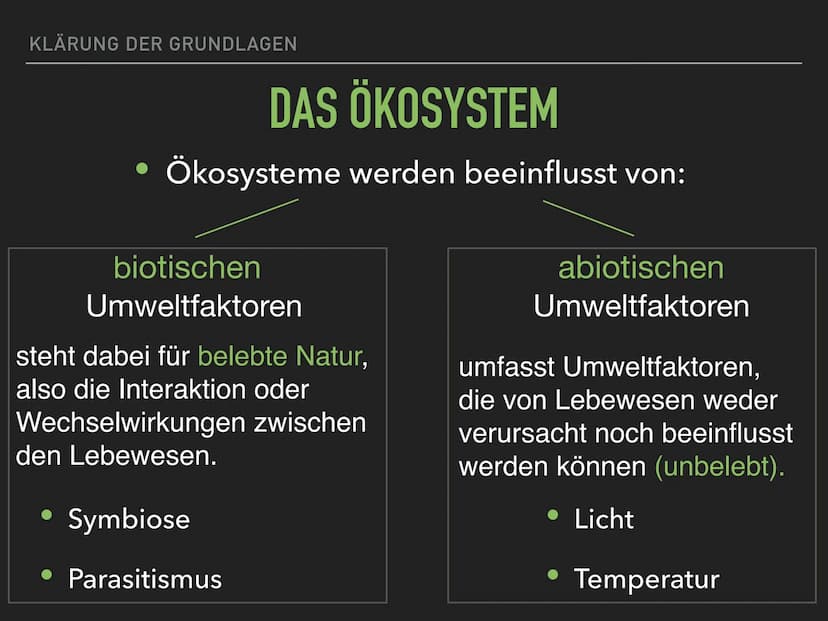 Sukzession GLIEDERUNG
1. KLÄRUNG DER GRUNDLAGEN
2. ERKLÄRUNG DES BEGRIFFS SUKZESSION
3. ARTEN DER SUKZESSION
4. ZEITLICHER ABLAUF DER SUKZES
