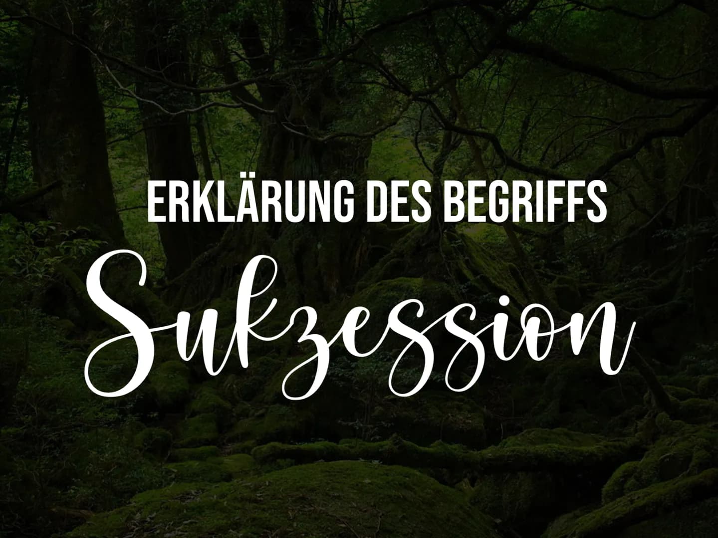 Alles über Sukzession: Definition, Phasen und Beispiele in der Ökologie