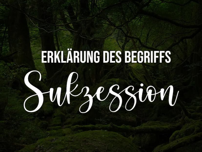 Sukzession GLIEDERUNG
1. KLÄRUNG DER GRUNDLAGEN
2. ERKLÄRUNG DES BEGRIFFS SUKZESSION
3. ARTEN DER SUKZESSION
4. ZEITLICHER ABLAUF DER SUKZES