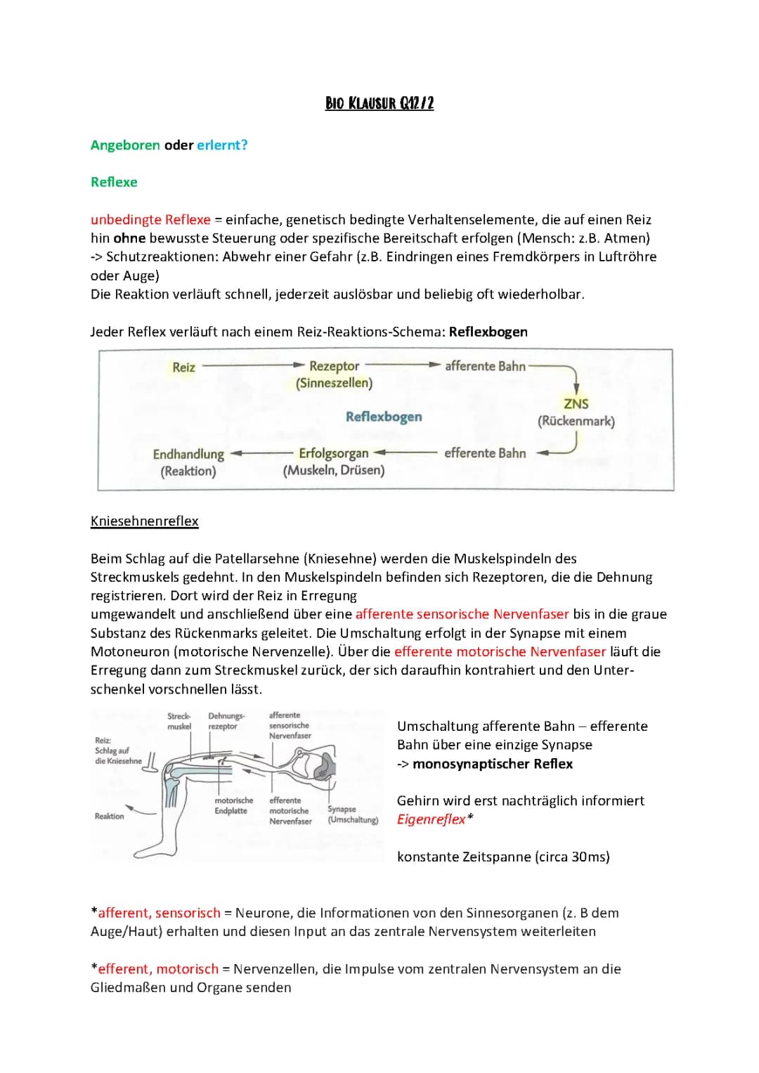 Verhaltensbiologie (Q12/2)