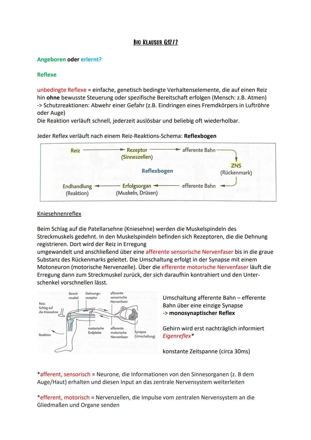Angeboren oder erlernt?
Reflexe
unbedingte Reflexe = einfache, genetisch bedingte Verhaltenselemente, die auf einen Reiz
hin ohne bewusste S
