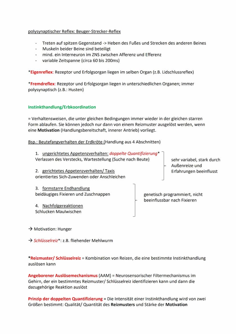 Angeboren oder erlernt?
Reflexe
unbedingte Reflexe = einfache, genetisch bedingte Verhaltenselemente, die auf einen Reiz
hin ohne bewusste S