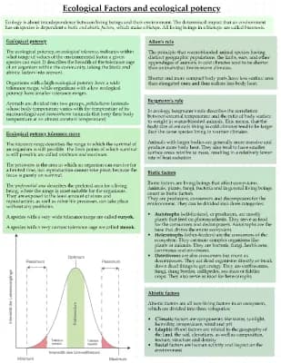 Know Abitur 2023 Biology bilingual Ecology Lernzettel thumbnail