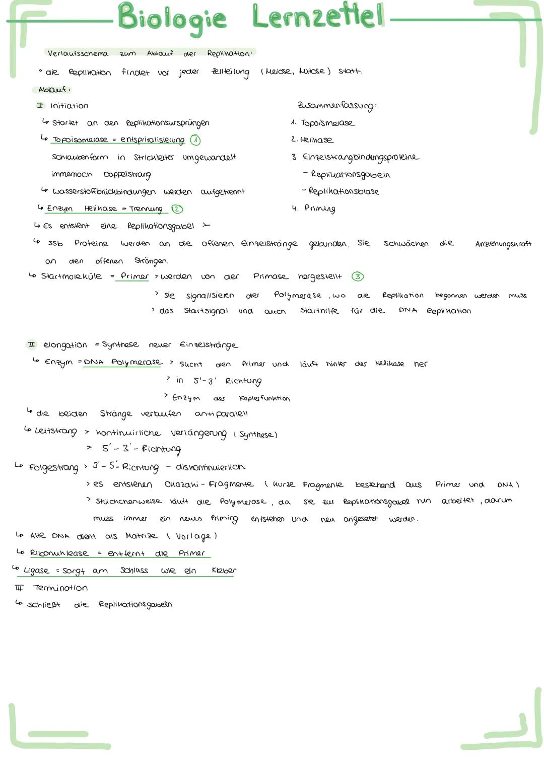 Bau und
Bau
Acetabularia
Chromatid
Schirm
Stiel
Rhizoid
Aufbau
ellwer
Biologie Lernzettel.
Funktion des Zellherns:
ـا
versuch.
-
entwickelt
