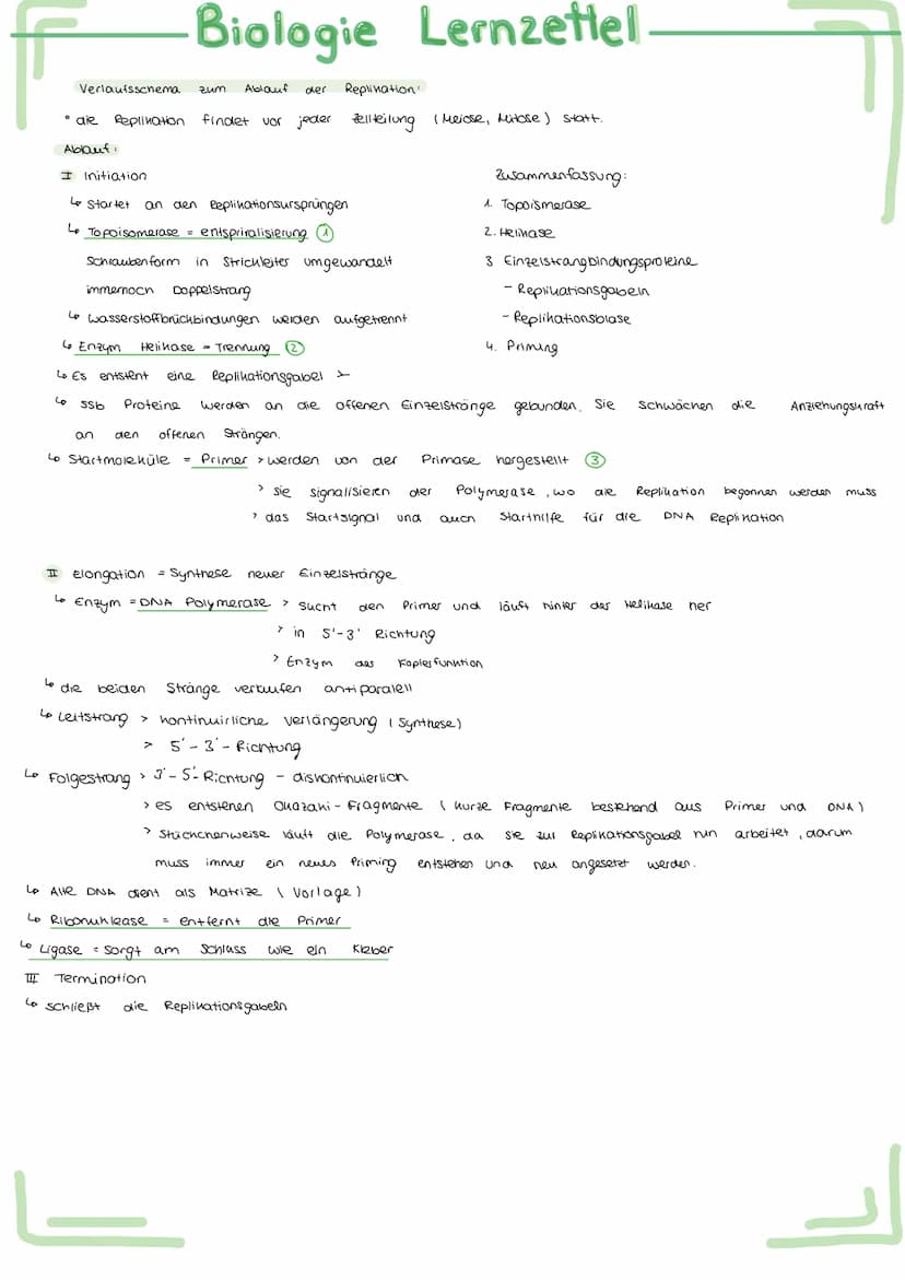 Bau und
Bau
Acetabularia
Chromatid
Schirm
Stiel
Rhizoid
Aufbau
ellwer
Biologie Lernzettel.
Funktion des Zellherns:
ـا
versuch.
-
entwickelt
