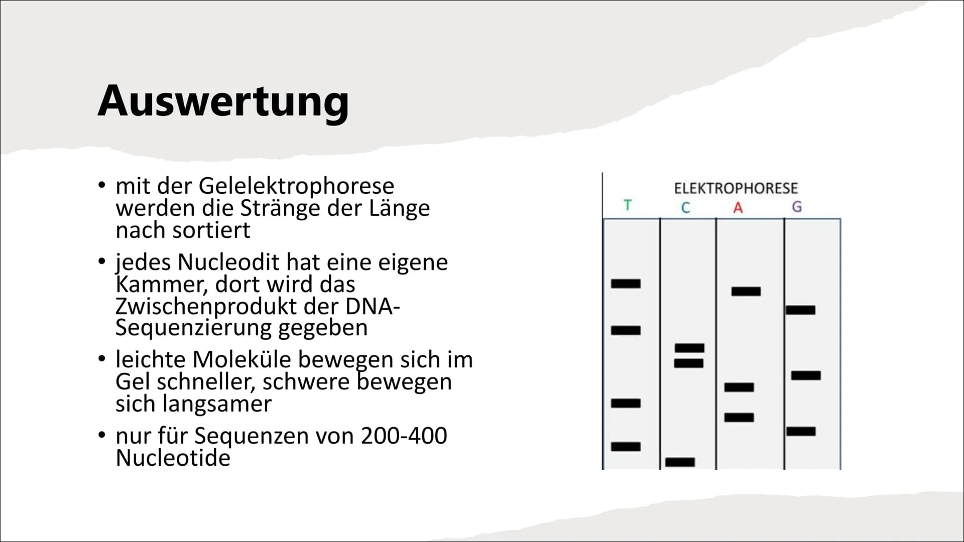 DNA-Sequenzierung Inhaltsverzeichnis
●
●
●
●
●
●
Definition DNA-Sequenzierung
Bedeutung von DNA-Sequenzierung
Methoden
Verfahren nach Sanger