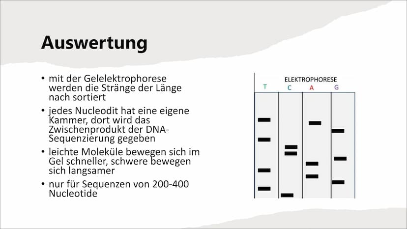 DNA-Sequenzierung Inhaltsverzeichnis
●
●
●
●
●
●
Definition DNA-Sequenzierung
Bedeutung von DNA-Sequenzierung
Methoden
Verfahren nach Sanger