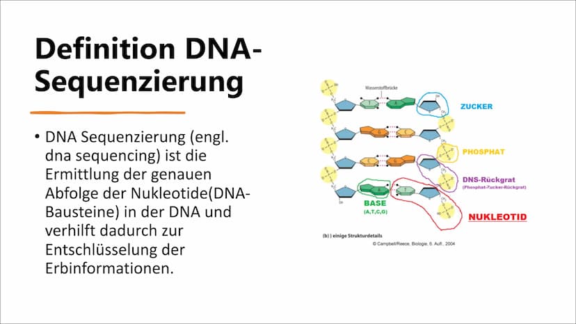 DNA-Sequenzierung Inhaltsverzeichnis
●
●
●
●
●
●
Definition DNA-Sequenzierung
Bedeutung von DNA-Sequenzierung
Methoden
Verfahren nach Sanger