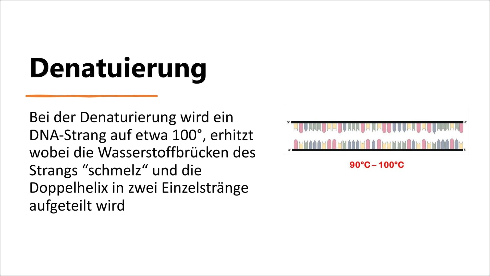 DNA-Sequenzierung Inhaltsverzeichnis
●
●
●
●
●
●
Definition DNA-Sequenzierung
Bedeutung von DNA-Sequenzierung
Methoden
Verfahren nach Sanger