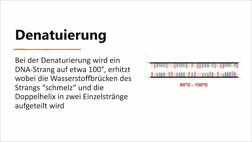 DNA-Sequenzierung Inhaltsverzeichnis
●
●
●
●
●
●
Definition DNA-Sequenzierung
Bedeutung von DNA-Sequenzierung
Methoden
Verfahren nach Sanger