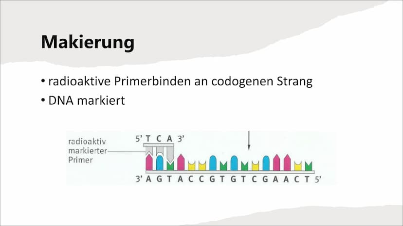 DNA-Sequenzierung Inhaltsverzeichnis
●
●
●
●
●
●
Definition DNA-Sequenzierung
Bedeutung von DNA-Sequenzierung
Methoden
Verfahren nach Sanger