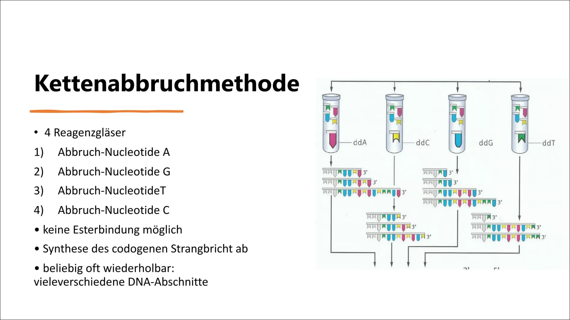 DNA-Sequenzierung Inhaltsverzeichnis
●
●
●
●
●
●
Definition DNA-Sequenzierung
Bedeutung von DNA-Sequenzierung
Methoden
Verfahren nach Sanger