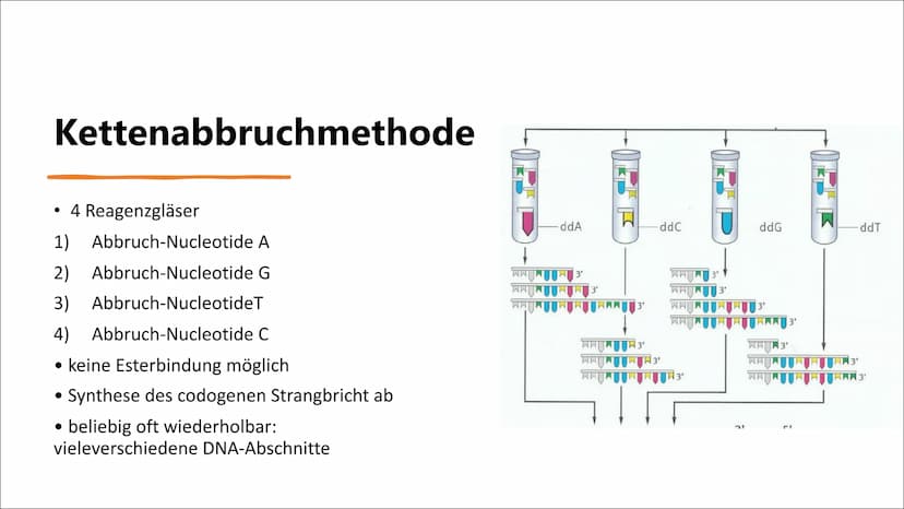 DNA-Sequenzierung Inhaltsverzeichnis
●
●
●
●
●
●
Definition DNA-Sequenzierung
Bedeutung von DNA-Sequenzierung
Methoden
Verfahren nach Sanger
