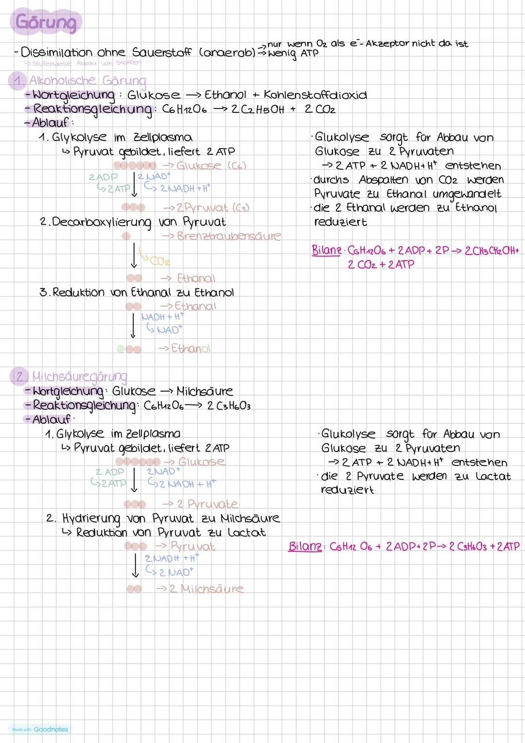 Görung
nur wenn Oz als e-Akzeptor nicht da ist
- Dissimilation ohne Sauerstoff (anaerob) wenig ATP

1. Alkoholische Gärung
-Wortgleichung: G