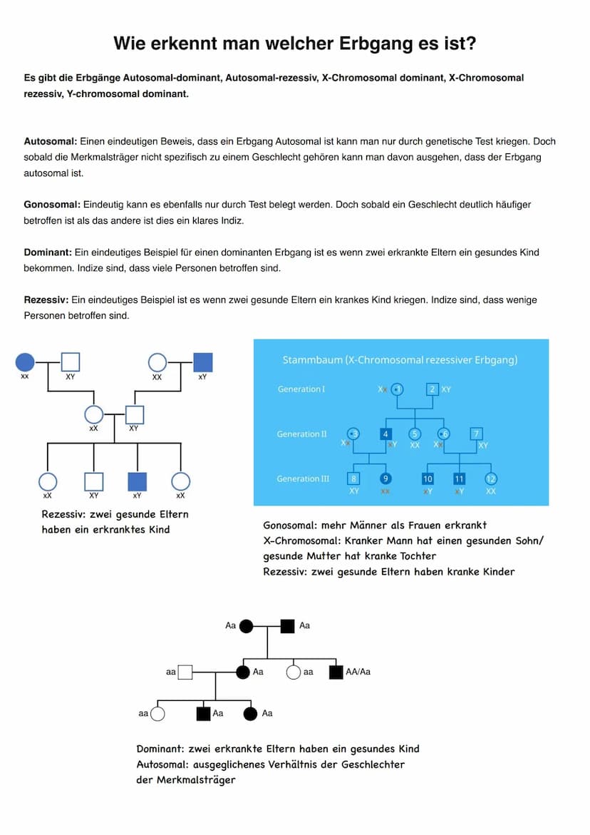 Q1.3 Humangenetik
grundlegendes Niveau (Grundkurs und Leistungskurs)
Erbgänge: monohybrid, autosomal, gonosomal, dominant-rezessiv einschlie