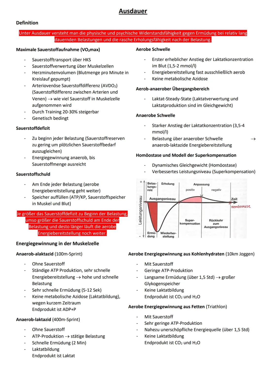 Betrachtungsweisen bei der Analyse sportlicher Bewegungen
Biomechanische Perspektive
Physikalische Einflussgrößen
Beispiel Weitsprung
Morpho