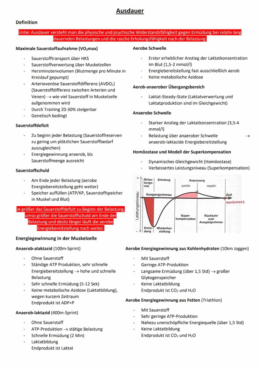 Betrachtungsweisen bei der Analyse sportlicher Bewegungen
Biomechanische Perspektive
Physikalische Einflussgrößen
Beispiel Weitsprung
Morpho