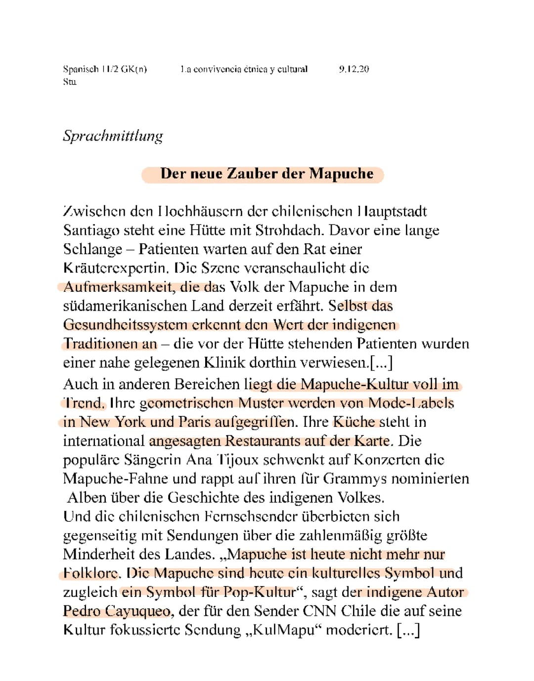 Wofür sind die Mapuche bekannt? - Ihre Geschichte, Sprache und Traditionen