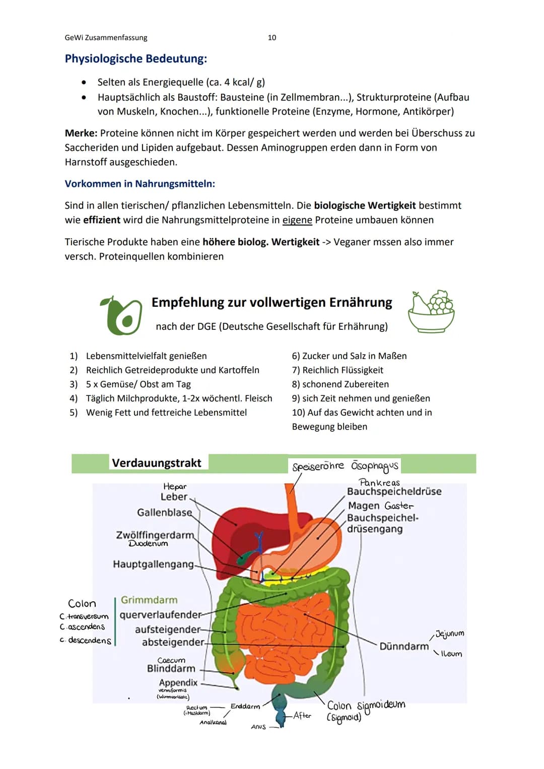 GeWi Zusammenfassung
Lernbereich 1: Wissenschaftlich arbeiten
Was ist Wissenschaft?
Wissenschaft (als Lehre)
Besteht aus: - Verortung (z.B. 