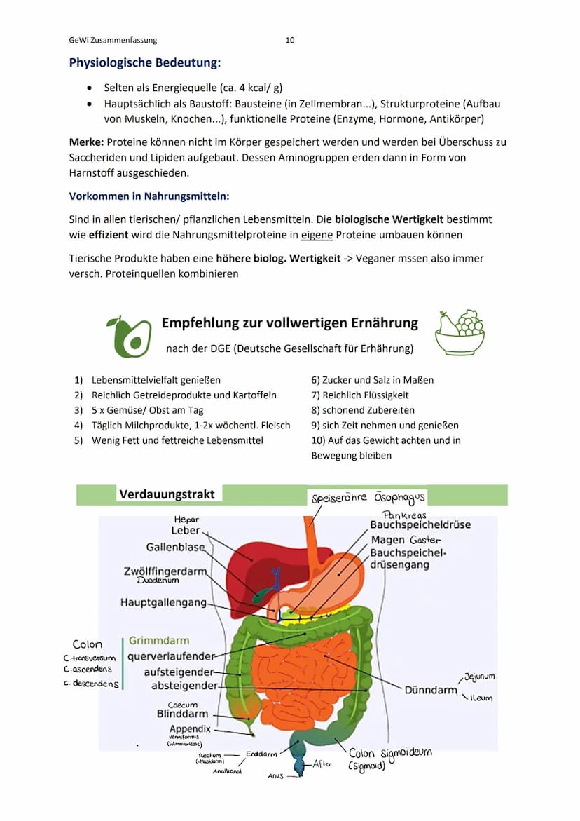 GeWi Zusammenfassung
Lernbereich 1: Wissenschaftlich arbeiten
Was ist Wissenschaft?
Wissenschaft (als Lehre)
Besteht aus: - Verortung (z.B. 