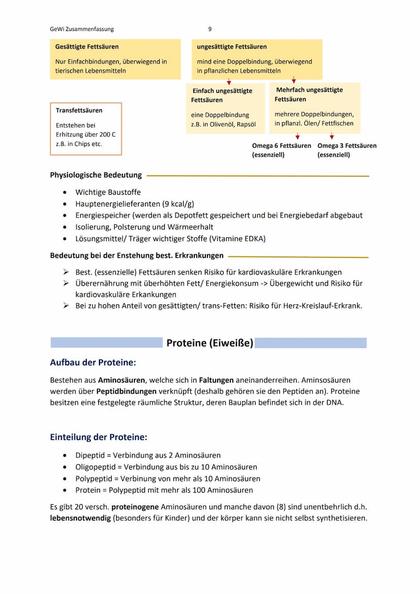 GeWi Zusammenfassung
Lernbereich 1: Wissenschaftlich arbeiten
Was ist Wissenschaft?
Wissenschaft (als Lehre)
Besteht aus: - Verortung (z.B. 
