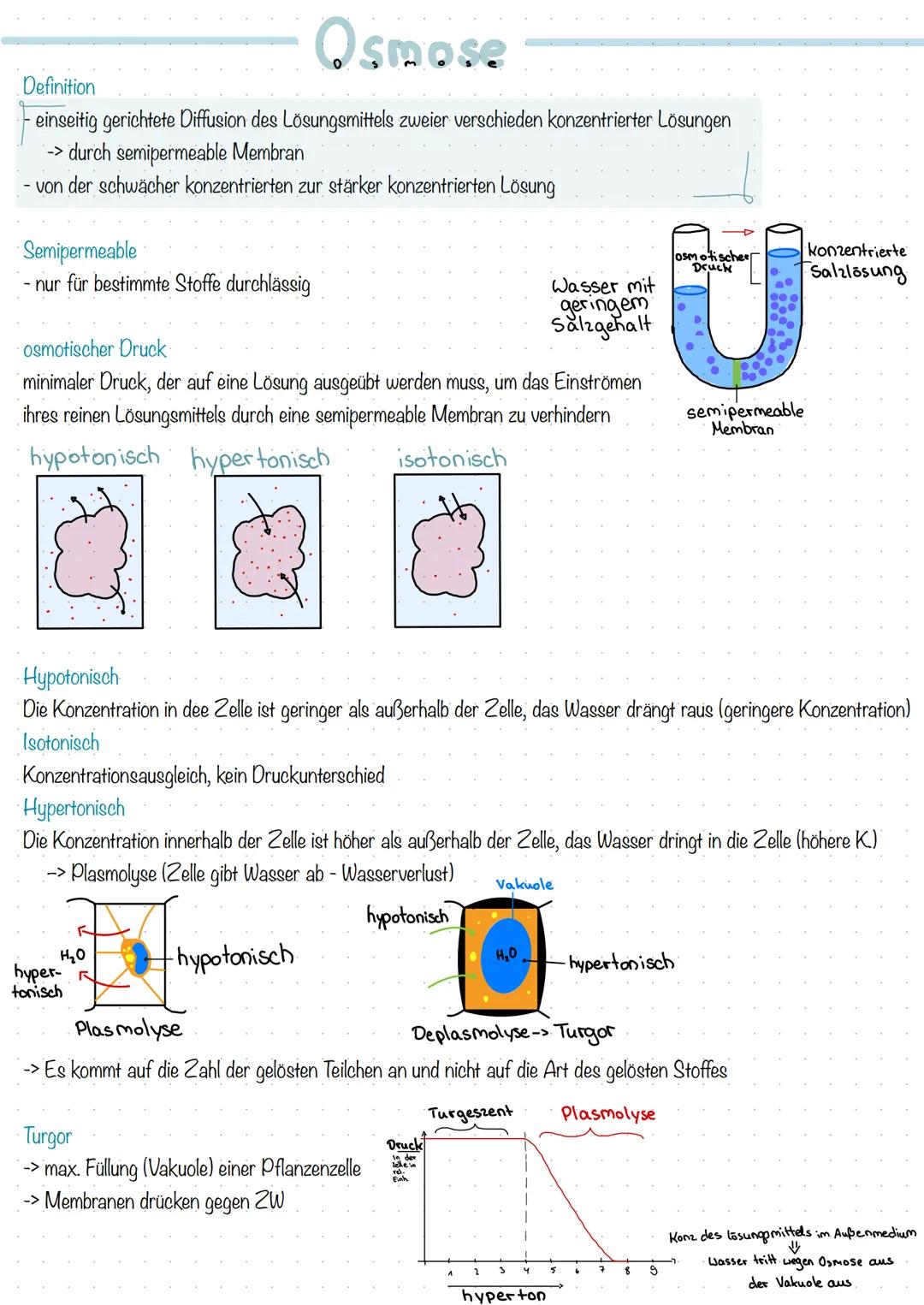 Osmose
Definition
einseitig gerichtete Diffusion des Lösungsmittels zweier verschieden konzentrierter Lösungen
-> durch semipermeable Membra