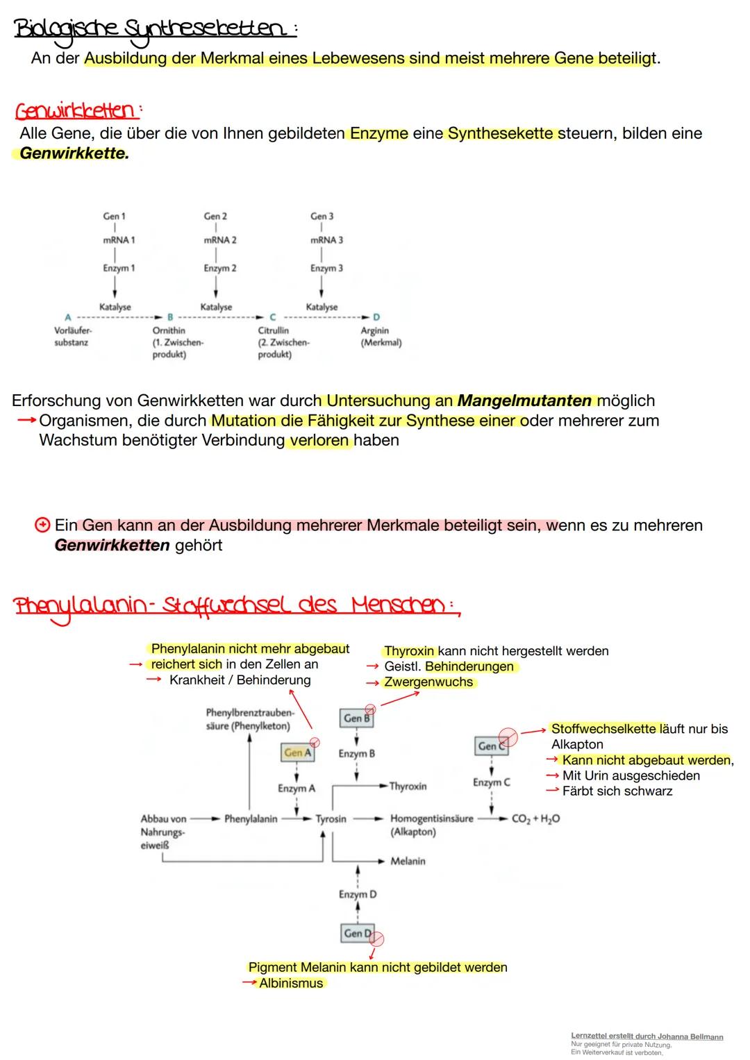 Jenutive
Lernzettel erstellt durch Johanna Bellmann
Nur geeignet für private Nutzung.
Ein Weiterverkauf ist verboten. Skript zur Einführung 