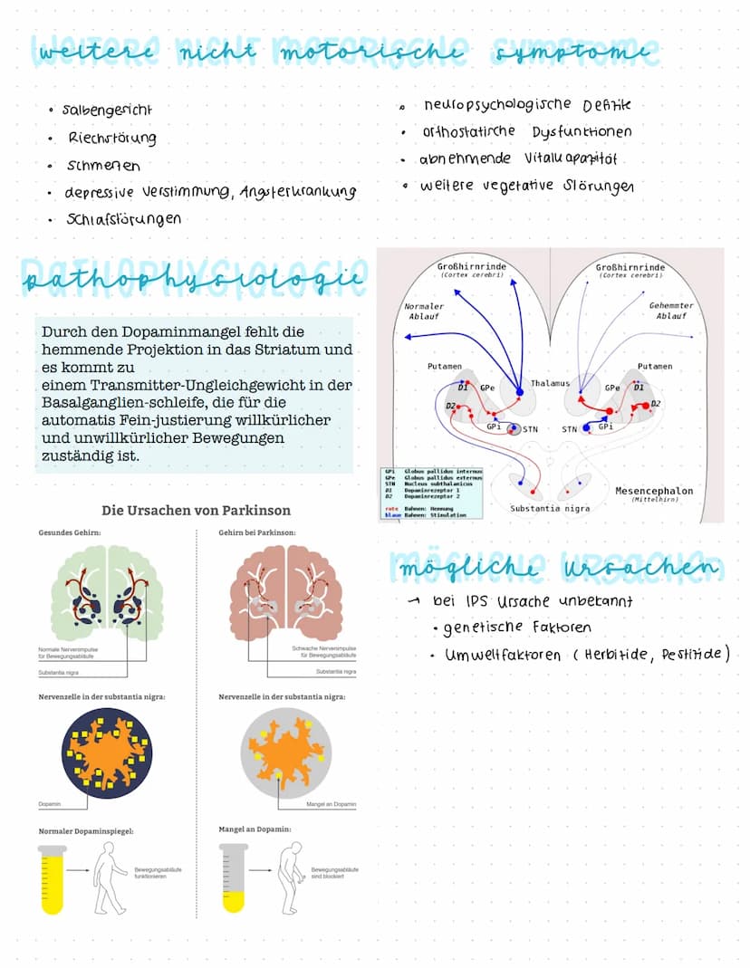 Parkinson
DEFINITION
„Langsam fortschreitende degenerative neurologische Erkrankung des
extrapyramidalen Systems, die durch ein Absterben de