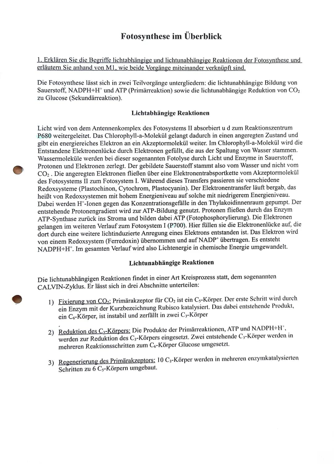 Fotosynthese im Überblick
1. Erklären Sie die Begriffe lichtabhängige und lichtunabhängige Reaktionen der Fotosynthese und
erläutern Sie anh