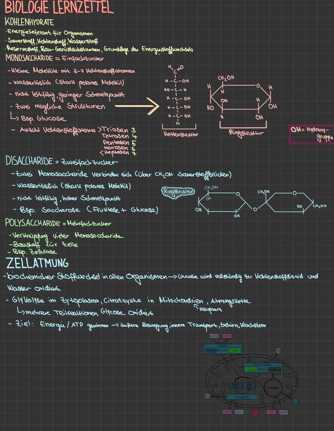 BIOLOGIE LERNZETTEL
KOHLENHYDRATE
· Energielieferant für Organismen
·Sauerstoff, Kohlenstoff, Wasserstoff
• Reservestoff, Bau-Gerüstsubstanz