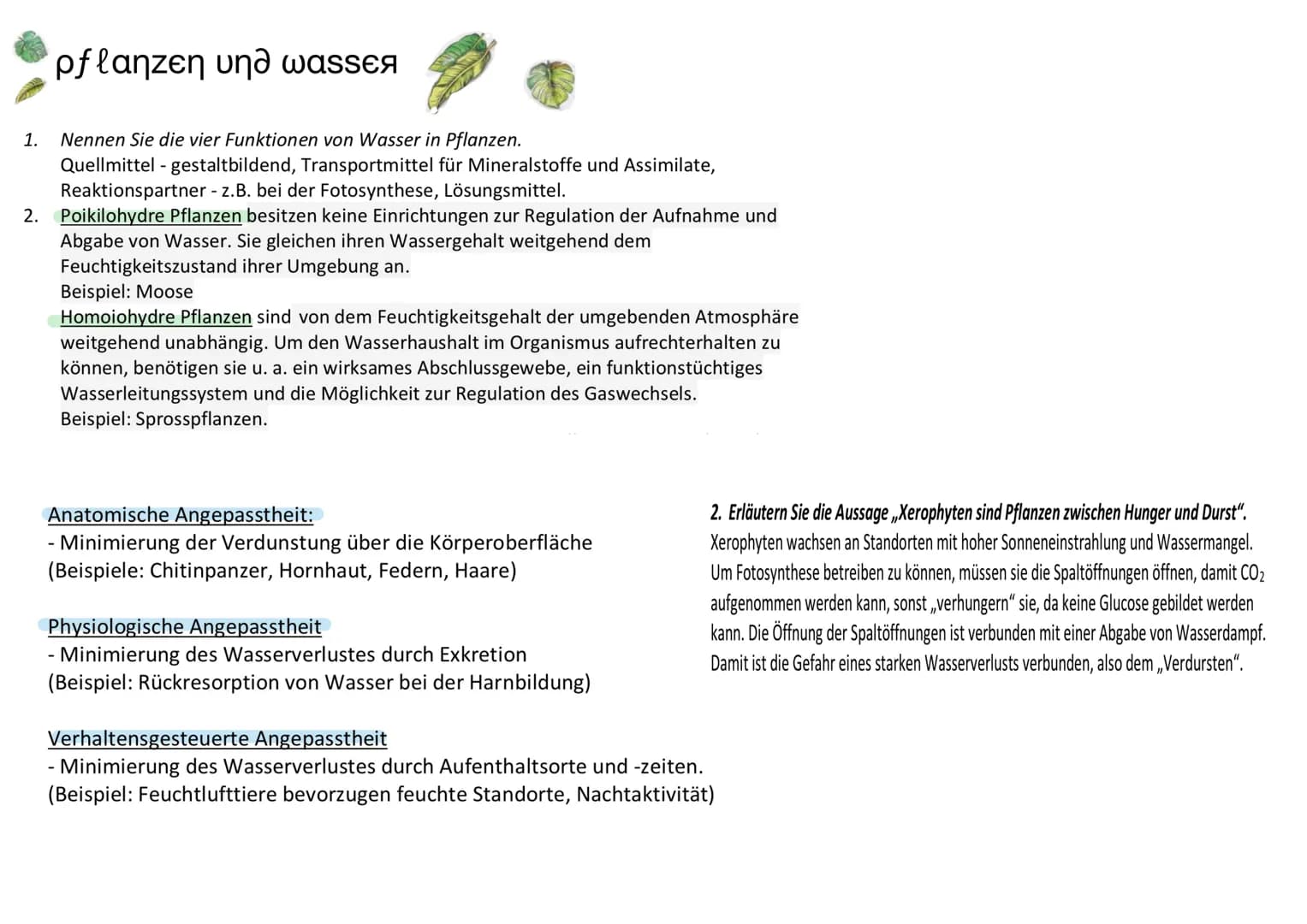 1.
2.
pflanzen und wassea
Nennen Sie die vier Funktionen von Wasser in Pflanzen.
Quellmittel - gestaltbildend, Transportmittel für Mineralst