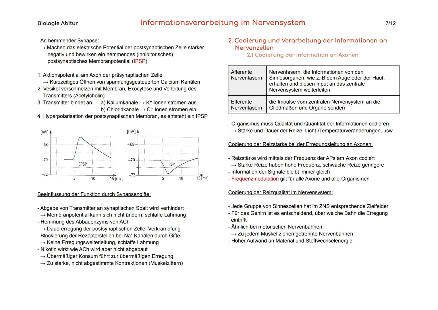 Biologie Abitur
1. Bau und Funktion der Nervenzelle
Der Körper des Menschen informiert sich mit Hilfe der Sinnesorgane und
des Nervensystems