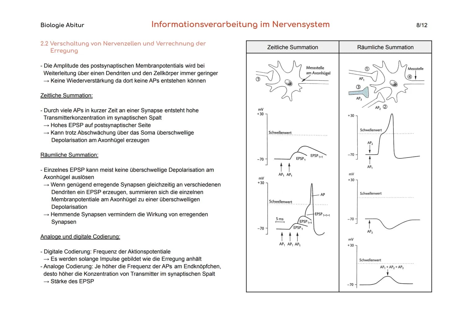Biologie Abitur
1. Bau und Funktion der Nervenzelle
Der Körper des Menschen informiert sich mit Hilfe der Sinnesorgane und
des Nervensystems
