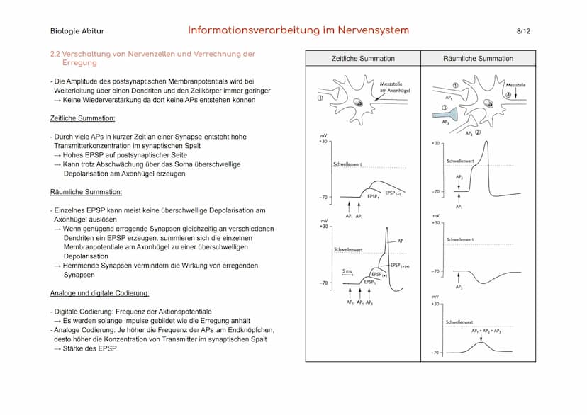 Biologie Abitur
1. Bau und Funktion der Nervenzelle
Der Körper des Menschen informiert sich mit Hilfe der Sinnesorgane und
des Nervensystems