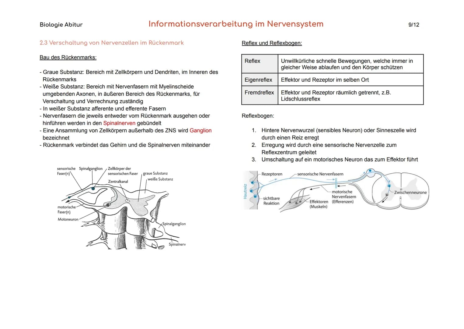 Biologie Abitur
1. Bau und Funktion der Nervenzelle
Der Körper des Menschen informiert sich mit Hilfe der Sinnesorgane und
des Nervensystems