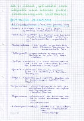 Know Organisationsstufen des Lebendigen thumbnail