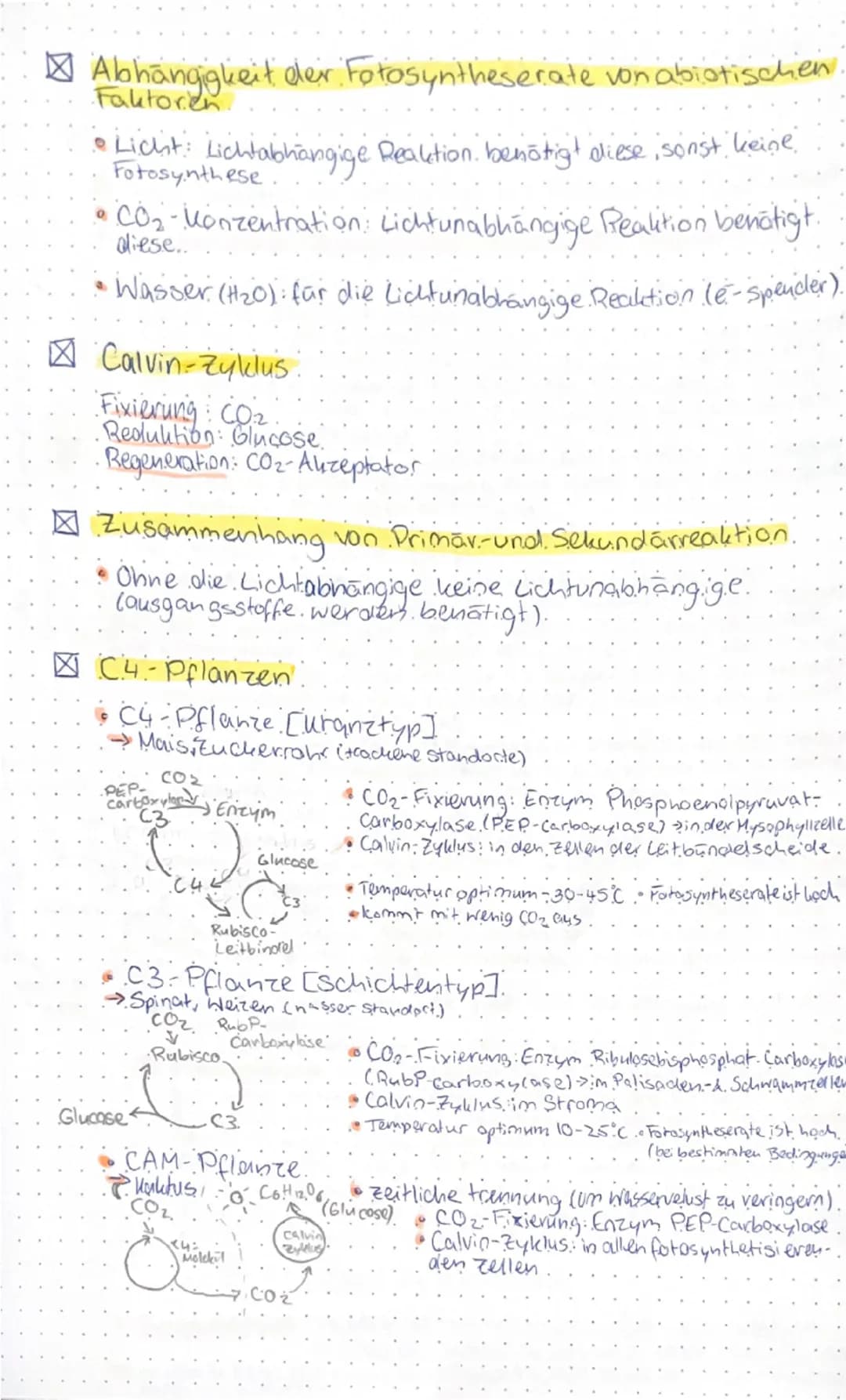 # STOFFWECHSEL

○ AUFBÄUENDER STOFFWECHSEL

☑ Funktionale Angepasstheiten

▲ Blattaufbau

Leitbündel

-Kutikula
-Epidermis
-Palisadengewebe
