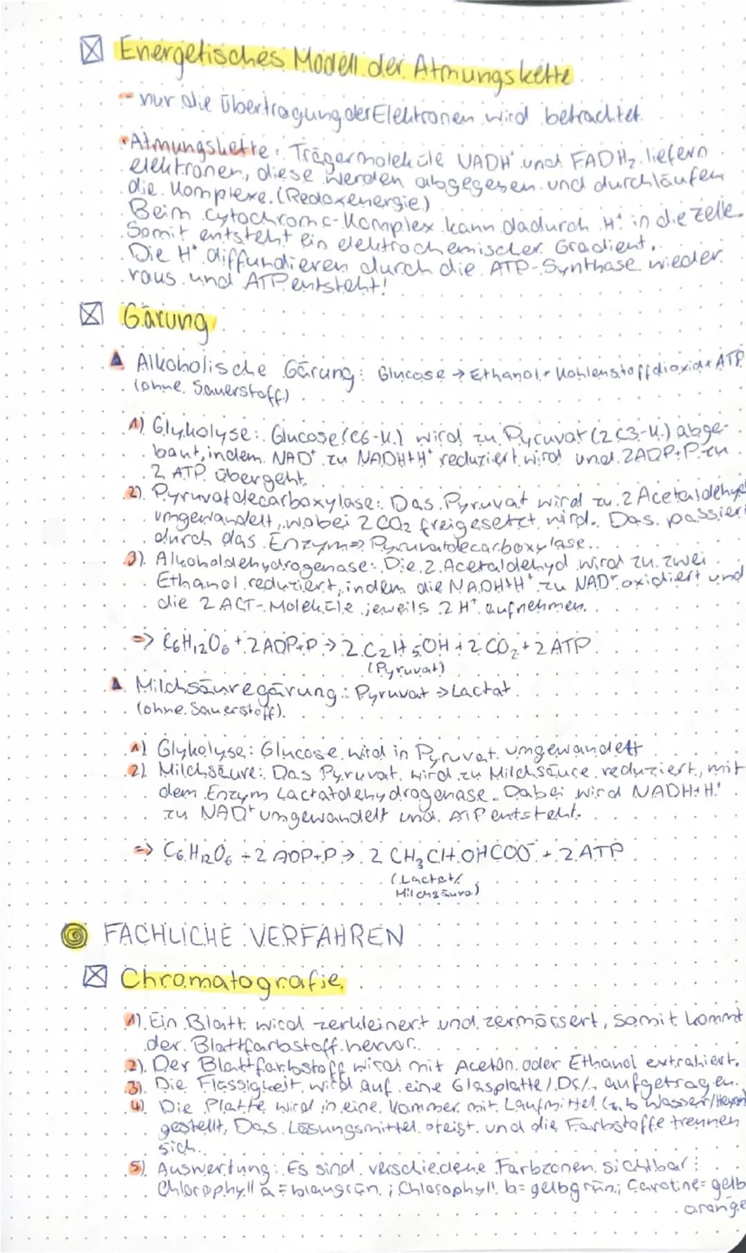 # STOFFWECHSEL

○ AUFBÄUENDER STOFFWECHSEL

☑ Funktionale Angepasstheiten

▲ Blattaufbau

Leitbündel

-Kutikula
-Epidermis
-Palisadengewebe
