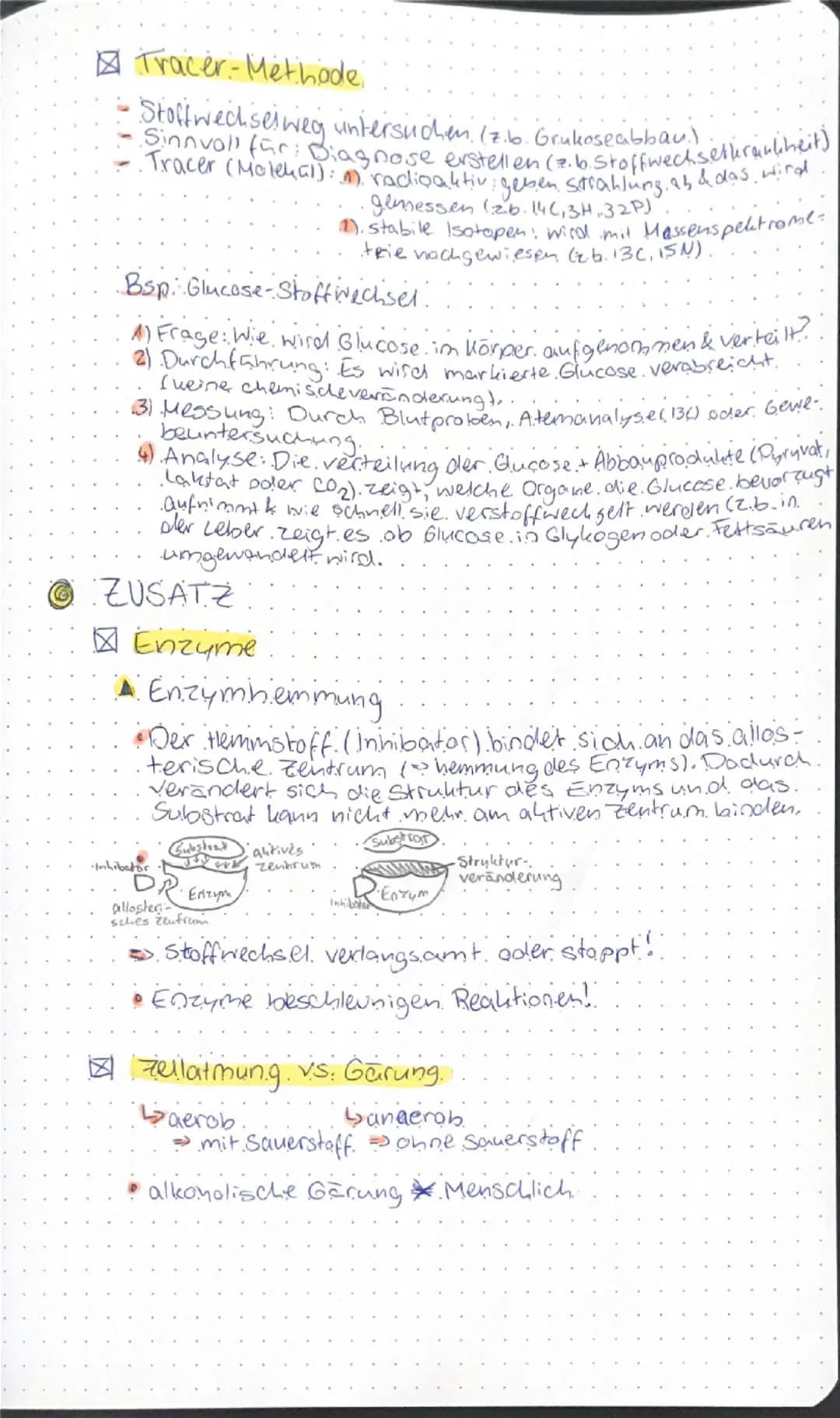 # STOFFWECHSEL

○ AUFBÄUENDER STOFFWECHSEL

☑ Funktionale Angepasstheiten

▲ Blattaufbau

Leitbündel

-Kutikula
-Epidermis
-Palisadengewebe
