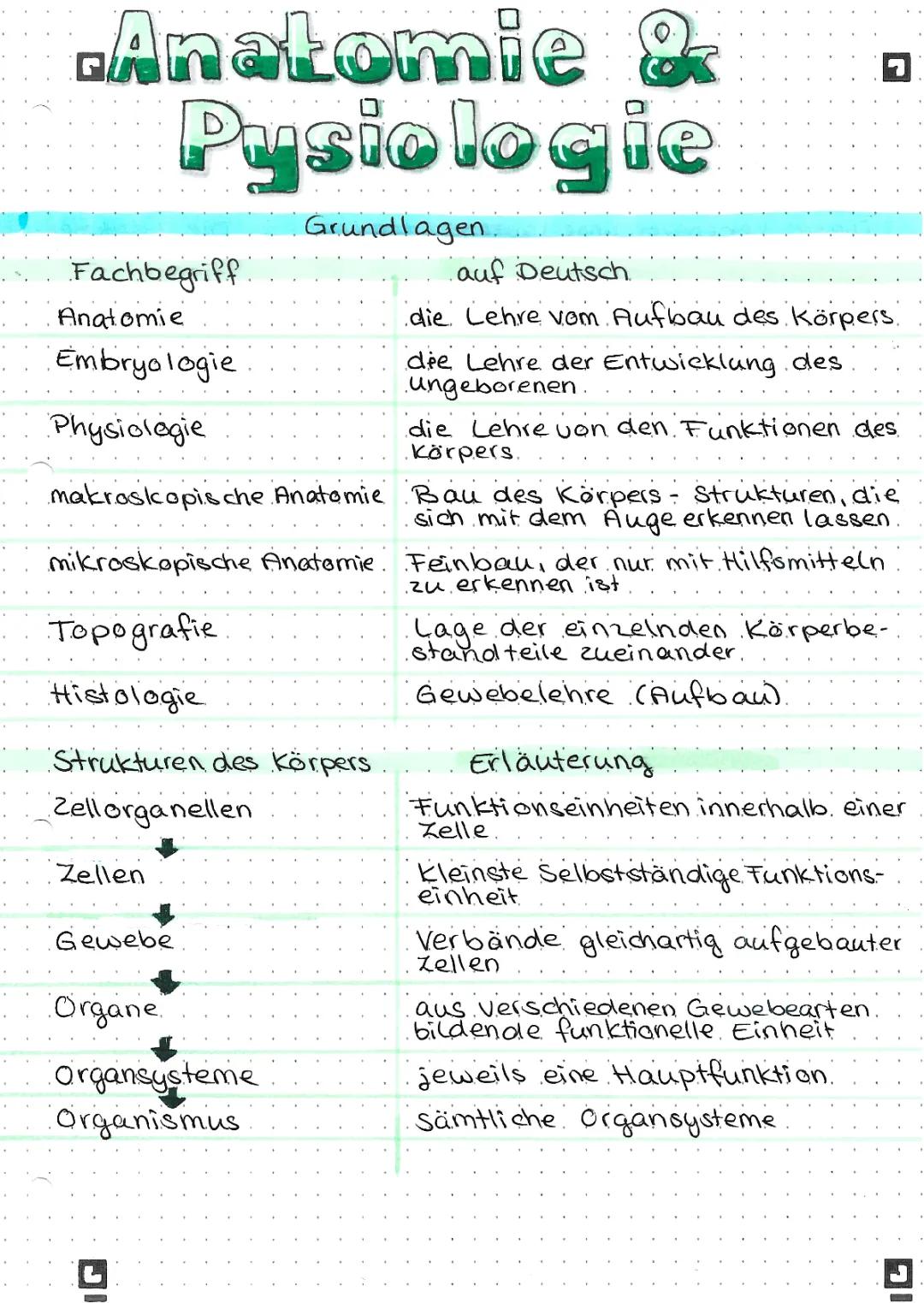 Anatomie & Physiologie Grundlagen
