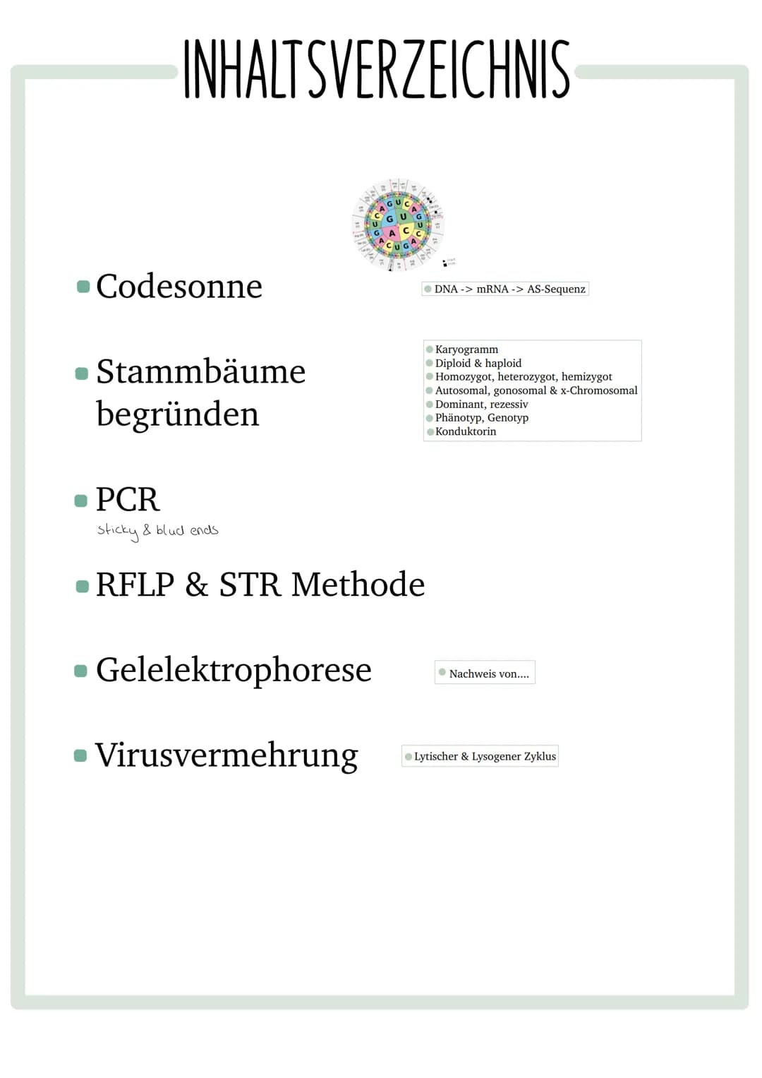 GENETISCHER
FINGERABDRUCK INHALTSVERZEICHNIS
•Codesonne
. Stammbäume
begründen
• PCR
GUC
GU
• Gelelektrophorese
• Virusvermehrung
A
C
G
Stic