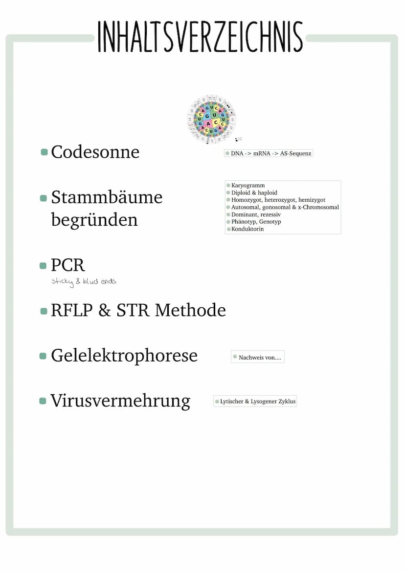 GENETISCHER
FINGERABDRUCK INHALTSVERZEICHNIS
•Codesonne
. Stammbäume
begründen
• PCR
GUC
GU
• Gelelektrophorese
• Virusvermehrung
A
C
G
Stic