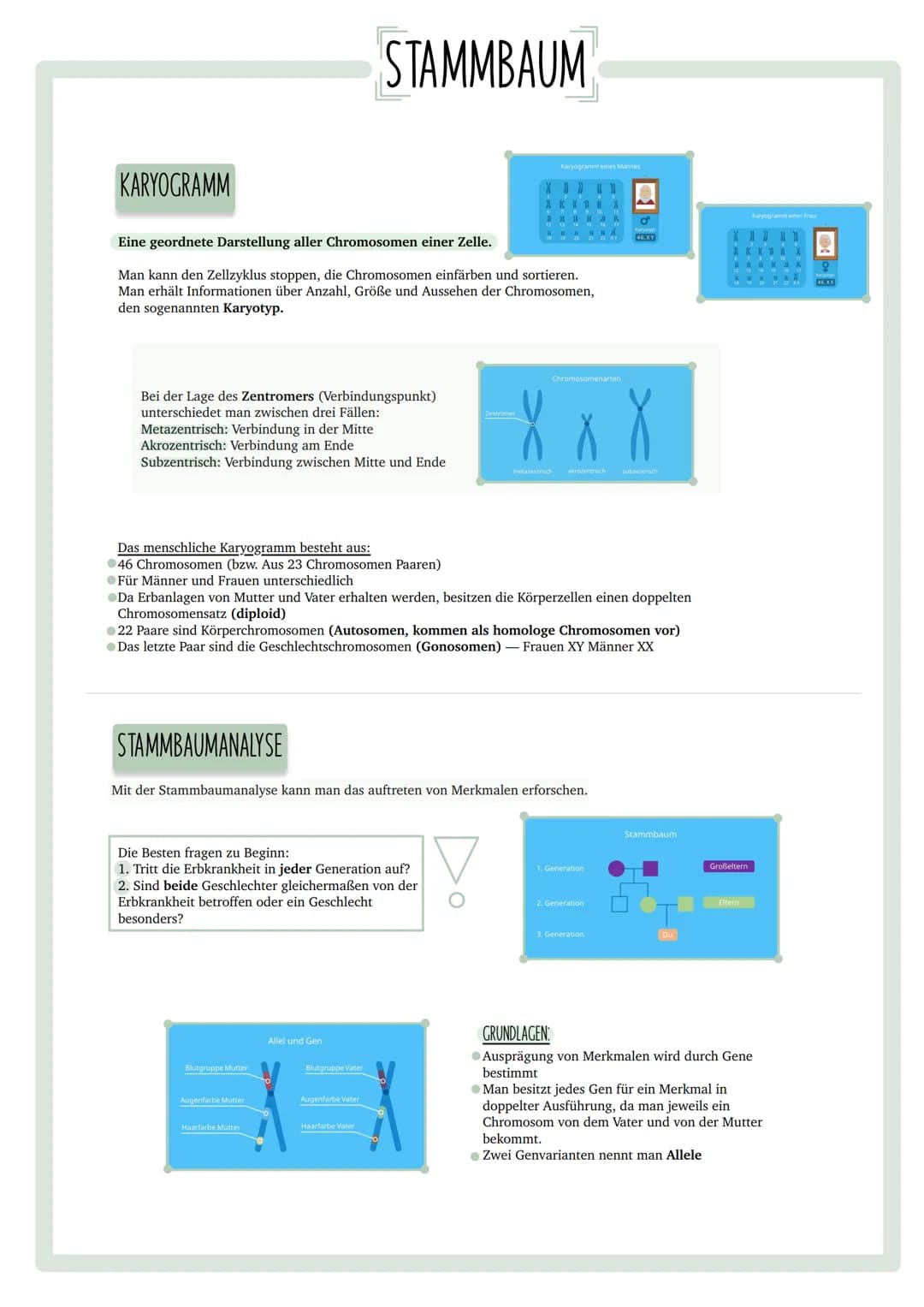 GENETISCHER
FINGERABDRUCK INHALTSVERZEICHNIS
•Codesonne
. Stammbäume
begründen
• PCR
GUC
GU
• Gelelektrophorese
• Virusvermehrung
A
C
G
Stic