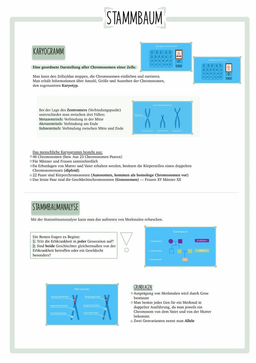 GENETISCHER
FINGERABDRUCK INHALTSVERZEICHNIS
•Codesonne
. Stammbäume
begründen
• PCR
GUC
GU
• Gelelektrophorese
• Virusvermehrung
A
C
G
Stic