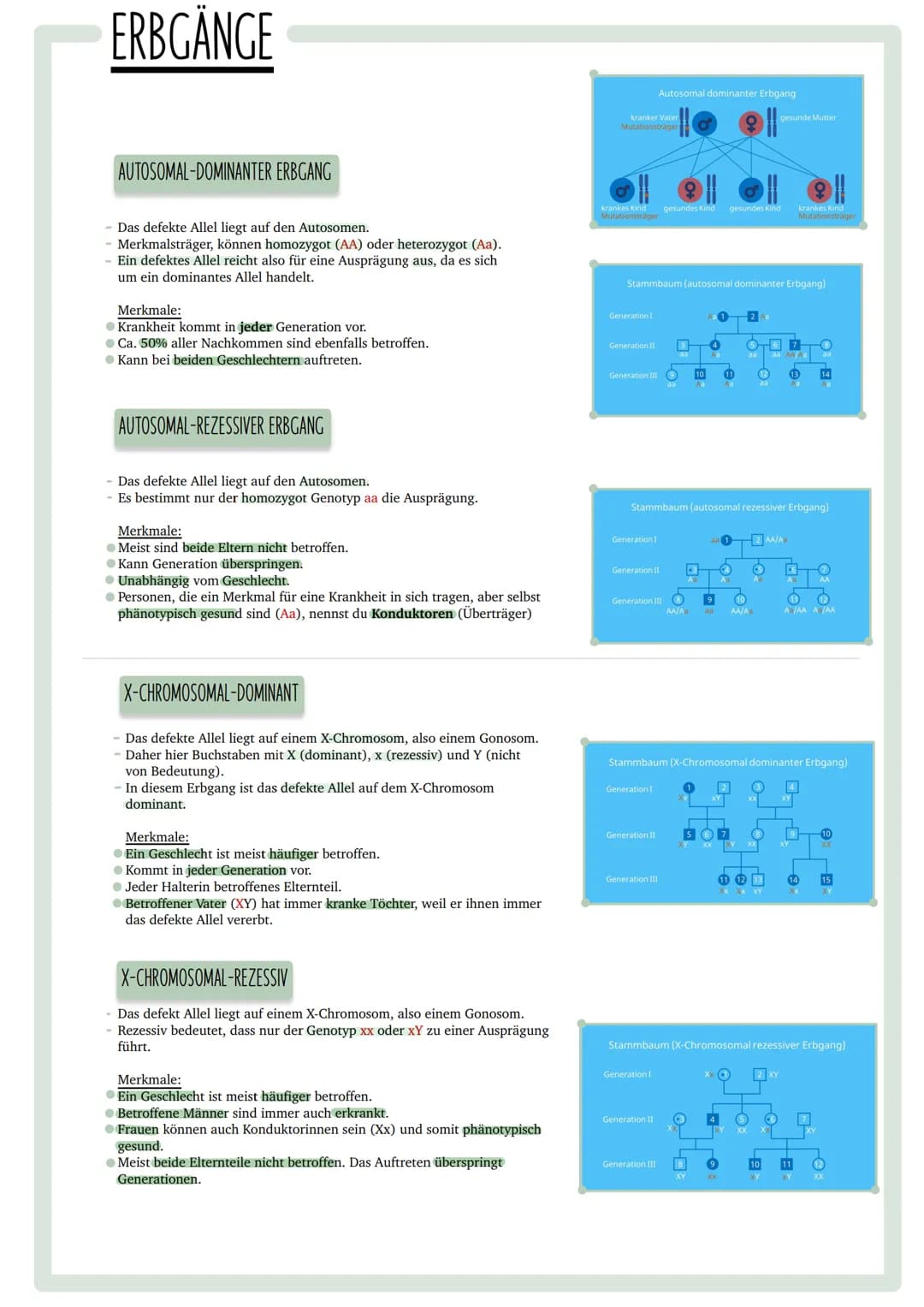 GENETISCHER
FINGERABDRUCK INHALTSVERZEICHNIS
•Codesonne
. Stammbäume
begründen
• PCR
GUC
GU
• Gelelektrophorese
• Virusvermehrung
A
C
G
Stic