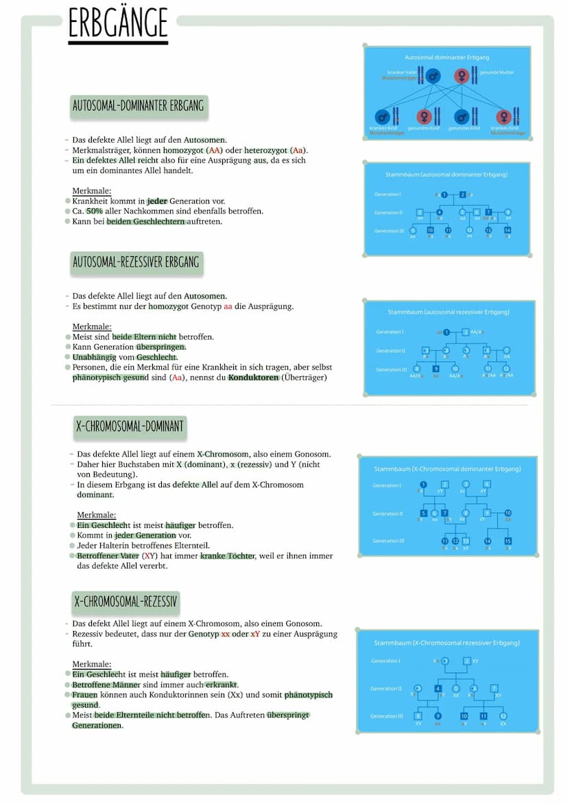 GENETISCHER
FINGERABDRUCK INHALTSVERZEICHNIS
•Codesonne
. Stammbäume
begründen
• PCR
GUC
GU
• Gelelektrophorese
• Virusvermehrung
A
C
G
Stic