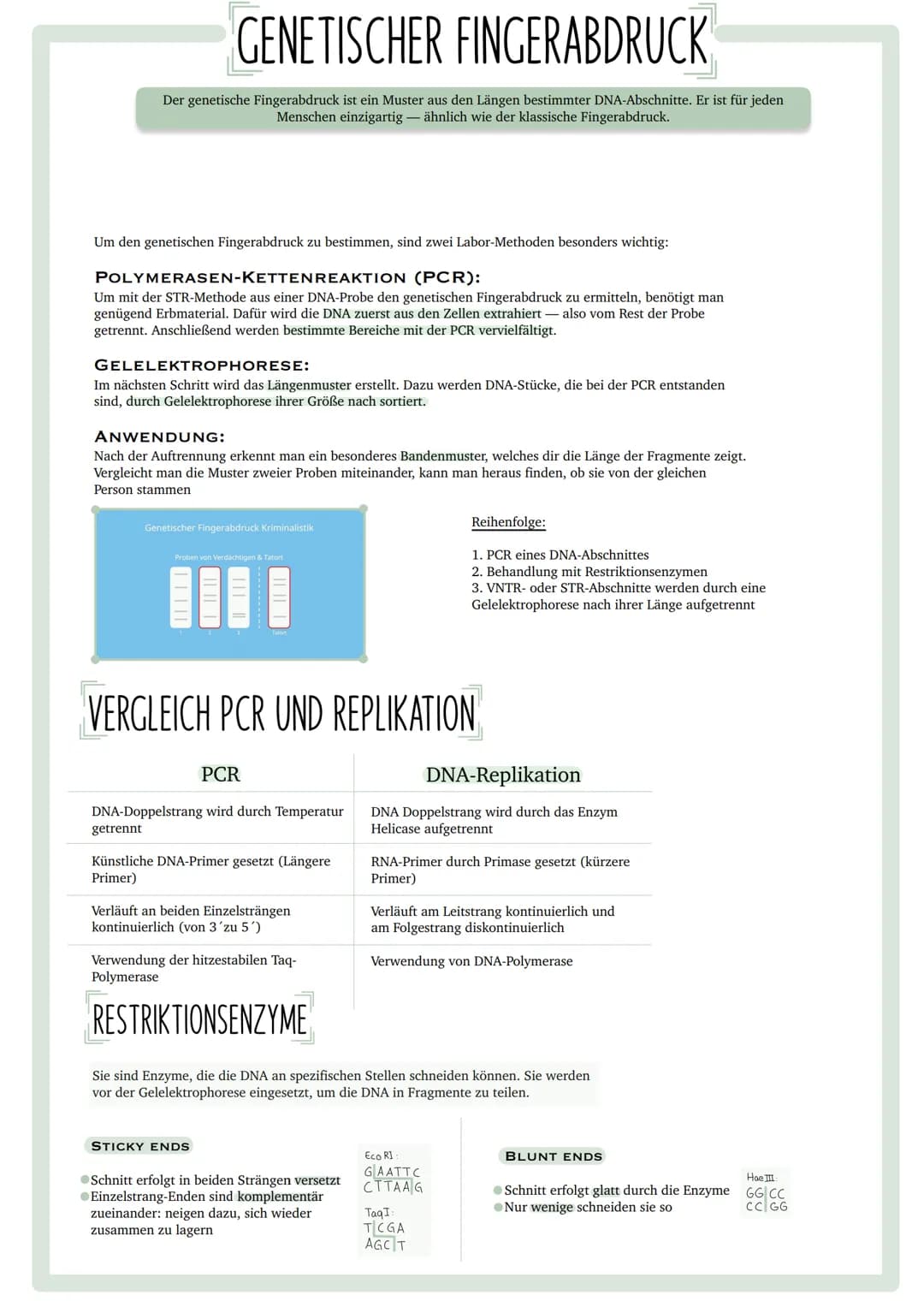 GENETISCHER
FINGERABDRUCK INHALTSVERZEICHNIS
•Codesonne
. Stammbäume
begründen
• PCR
GUC
GU
• Gelelektrophorese
• Virusvermehrung
A
C
G
Stic