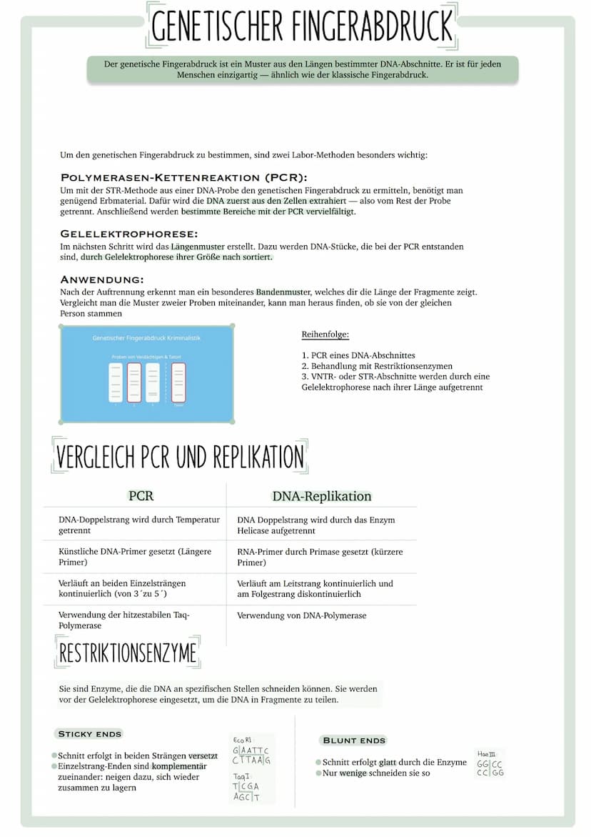 GENETISCHER
FINGERABDRUCK INHALTSVERZEICHNIS
•Codesonne
. Stammbäume
begründen
• PCR
GUC
GU
• Gelelektrophorese
• Virusvermehrung
A
C
G
Stic