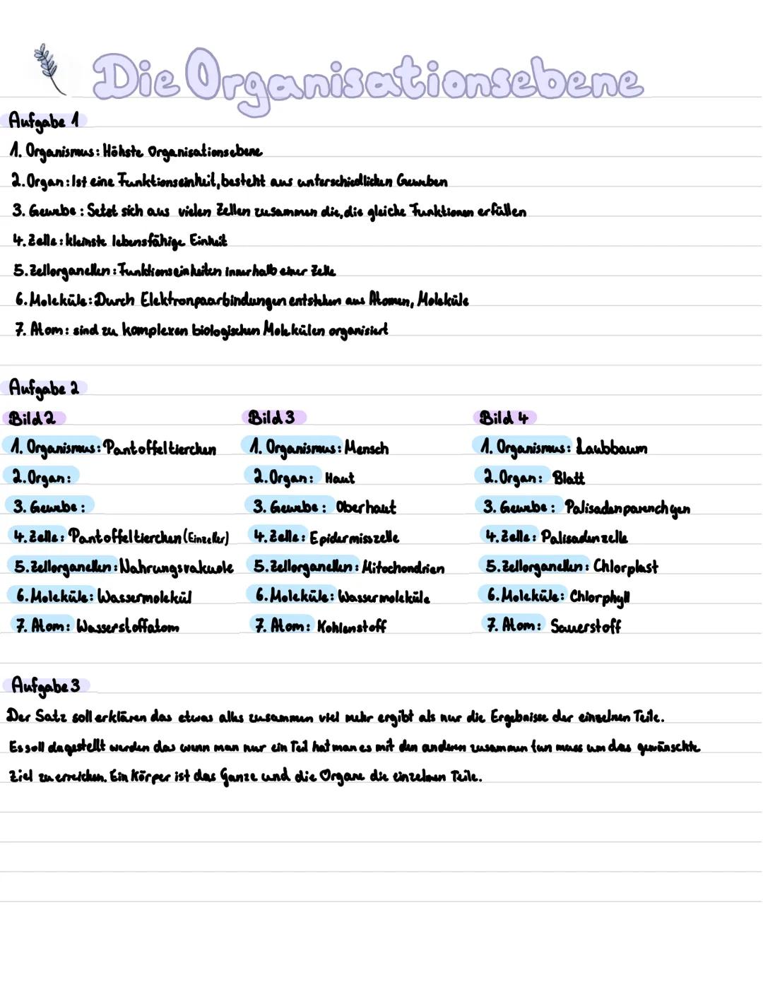 Die Organisationsebene
Aufgabe 1
1. Organismus: Höhste Organisations ebene
2.Organ: Ist eine Funktionseinheit, besteht aus unterschicollicke