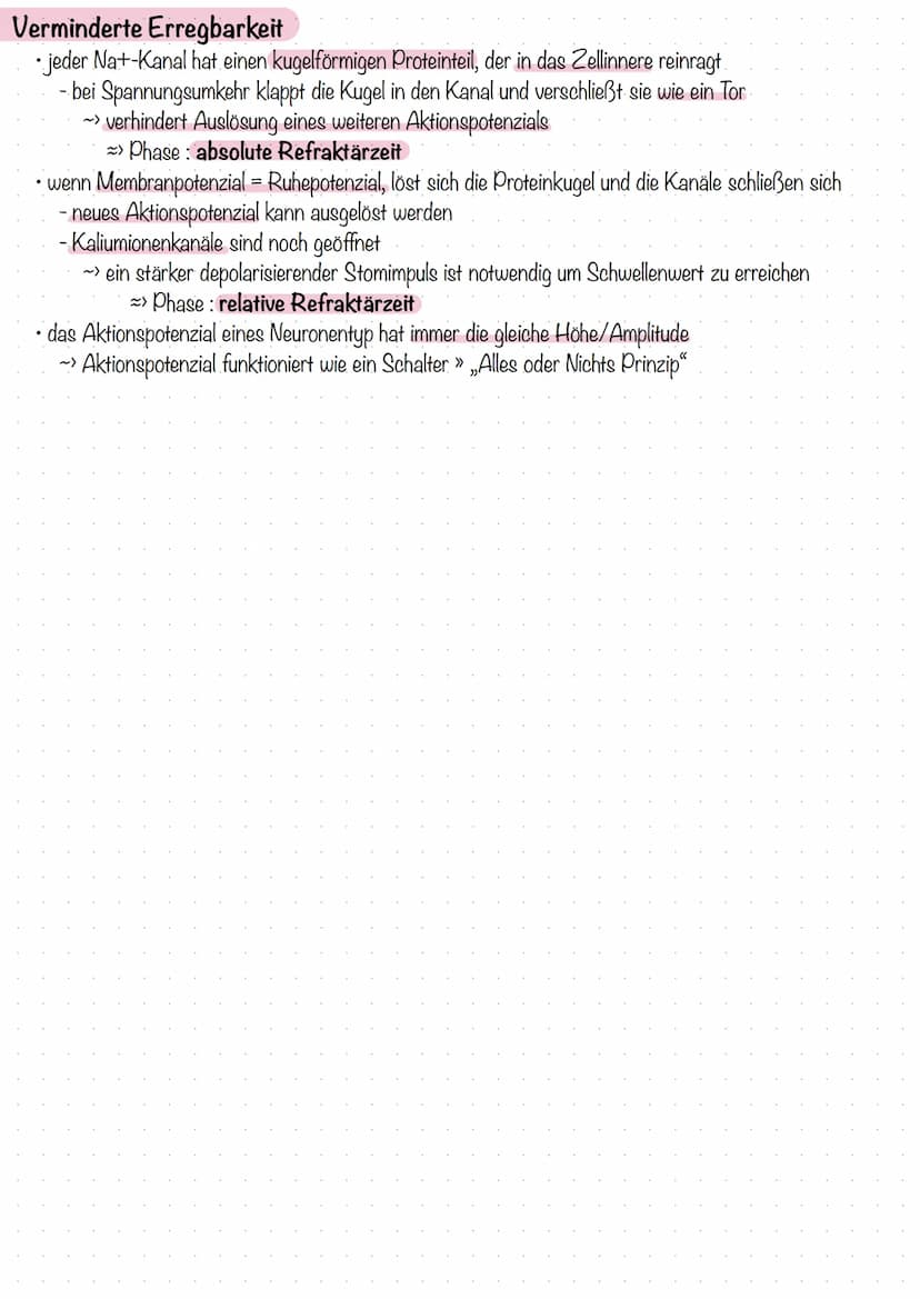 Ruhepotenzial
die Ladungsdifferenz zwischen extrazellulärem Raum und eine nicht erregten Neuron bezeichnet man als
Ruhepotenzial
innen negat